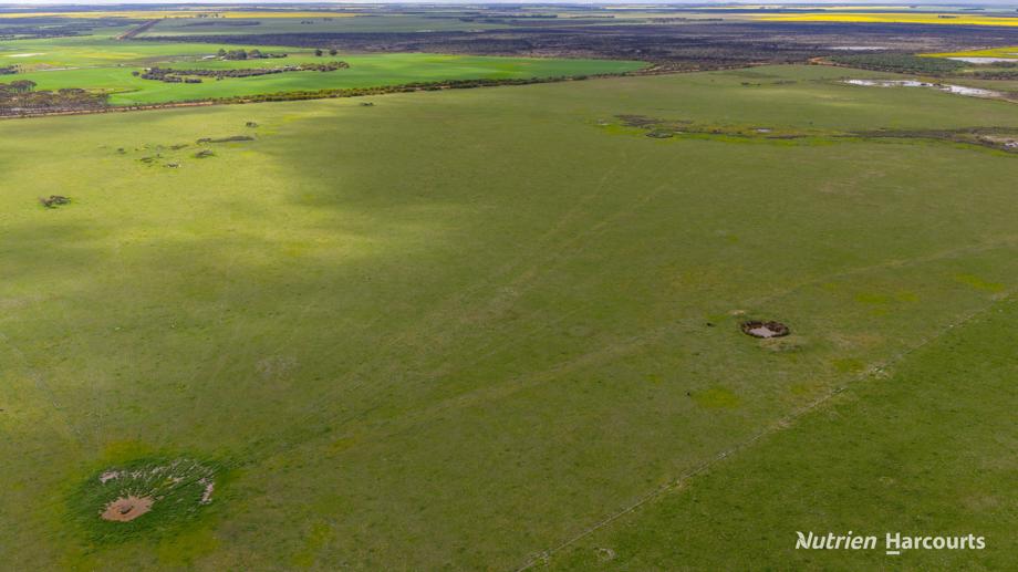 1463 Savage Road Neridup WA 6450