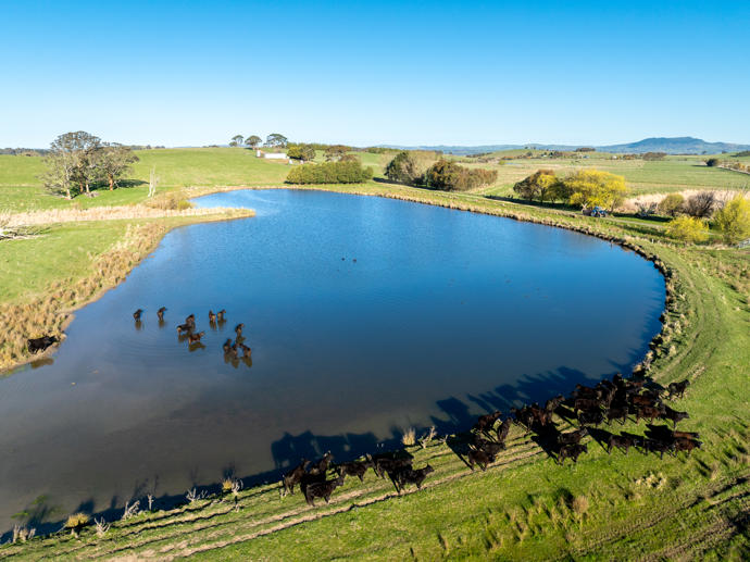 110 & 136 Beneree Road Tallwood NSW 2798