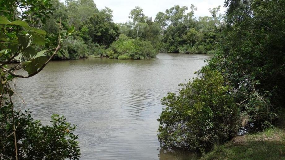 602 Taunton Road Taunton QLD 4674