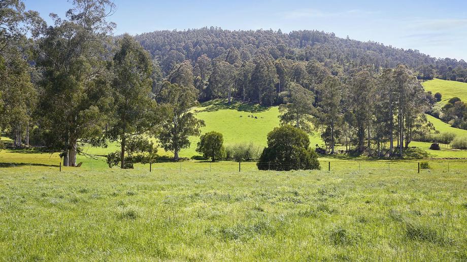 1423 Little Yarra Road Gilderoy VIC 3797