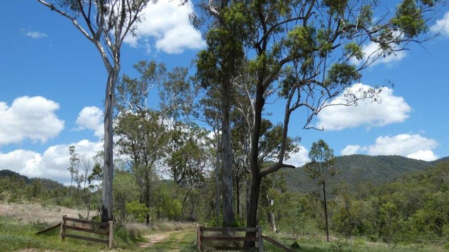 Address available by request