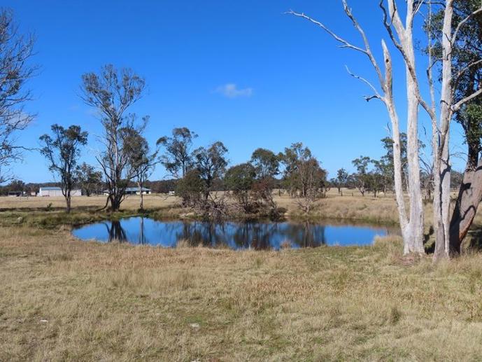 Lot 2 Hopgood Lane The Summit QLD 4377