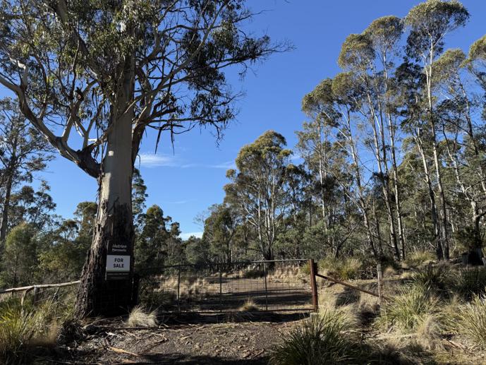 . Truelands Road Campbell Town TAS 7210
