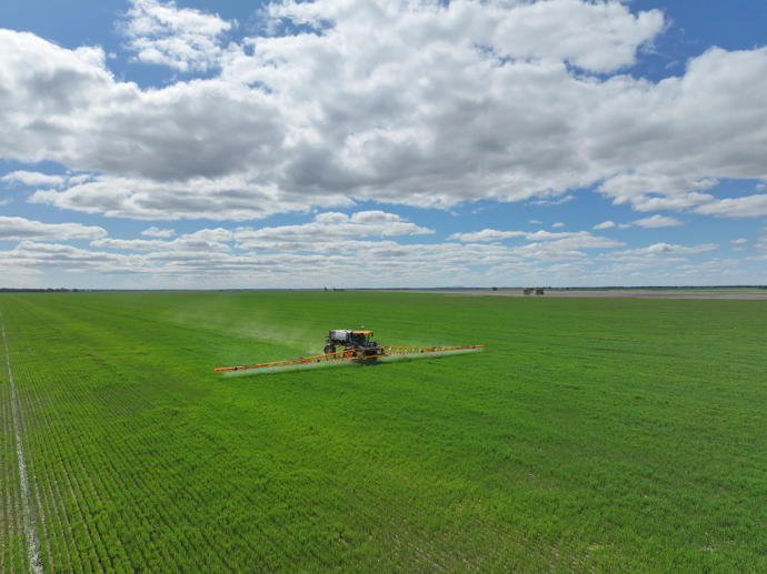 'Williams  139 Harris Lane Quandialla NSW 2721