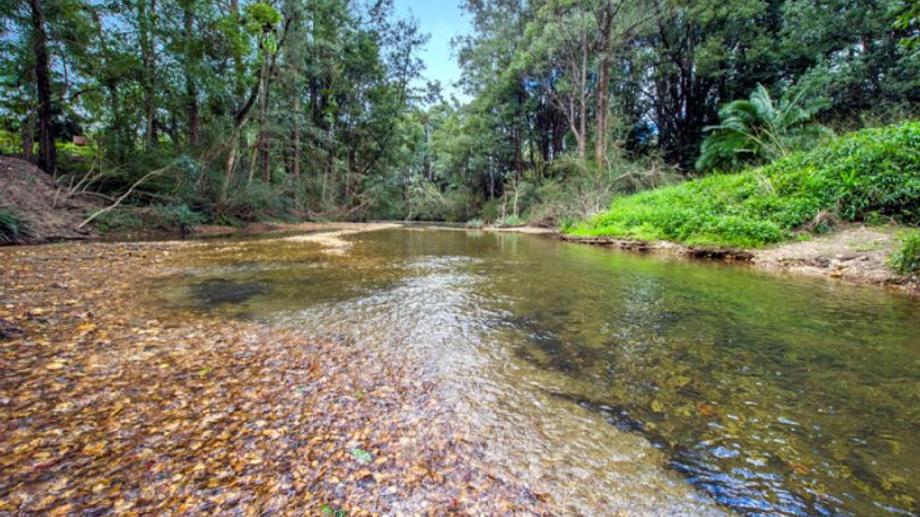 1562 Kalang Road Bellingen NSW 