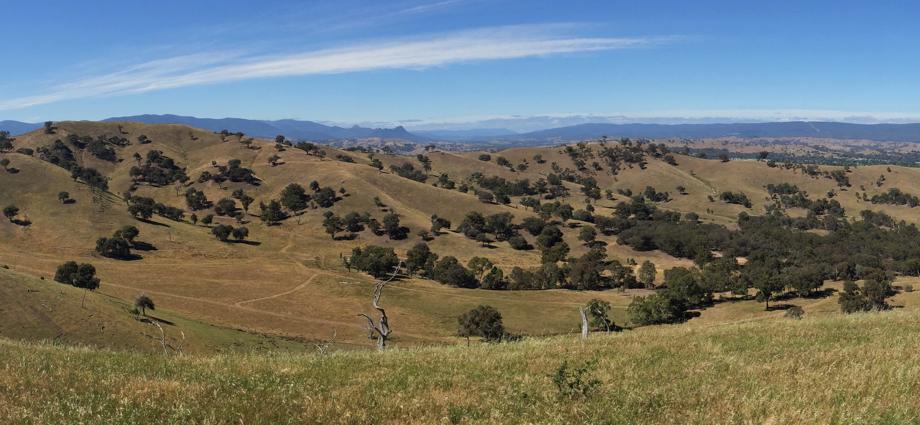 53 Halls Outlet Road Alexandra VIC 3714