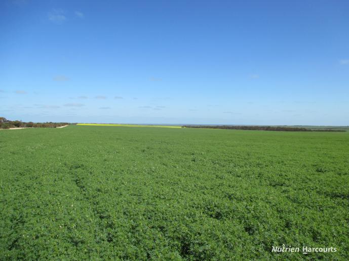 8717 Hyden-Lake King Road Varley WA 6355