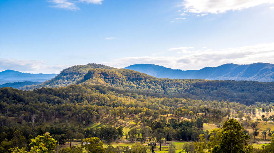2765 Coaldale Road Coaldale NSW 2460