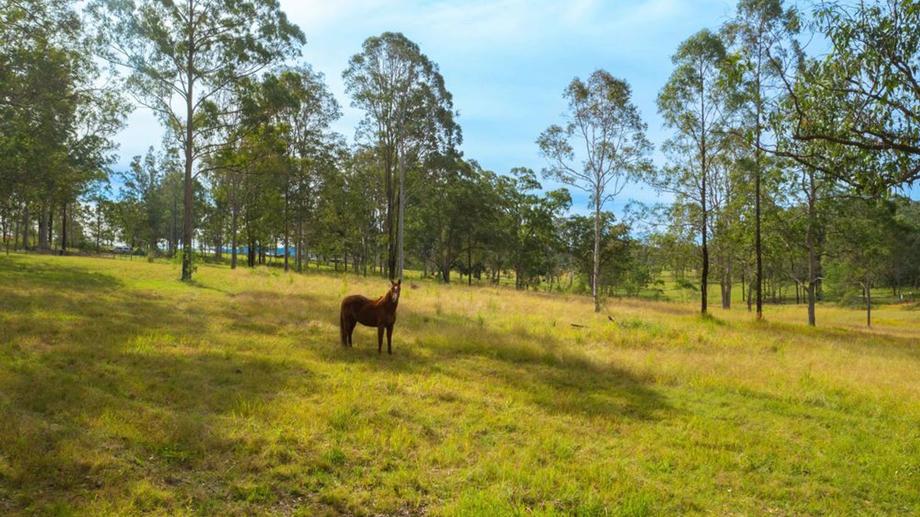 116 Silverwood Avenue Temagog NSW 2440