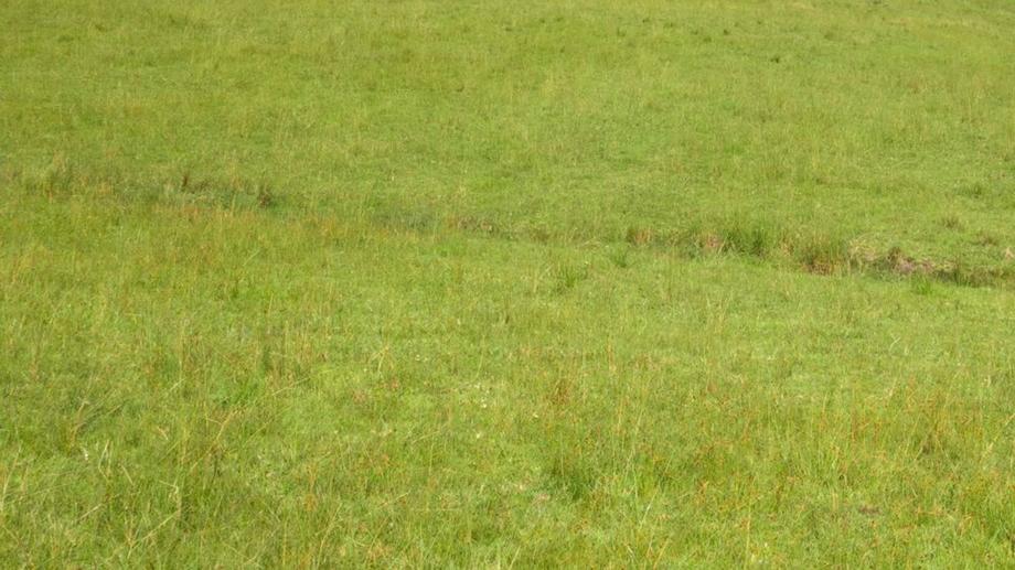 Address available by request