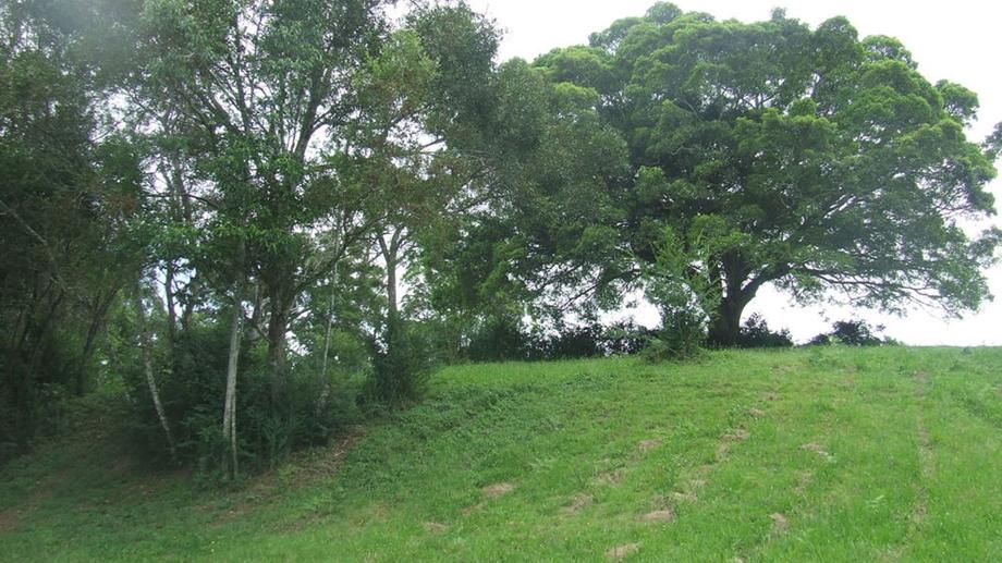 Address available by request