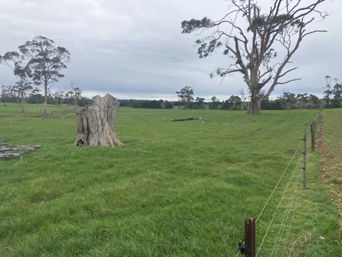 67 Myrtle Grove Road Wiltshire TAS 7321