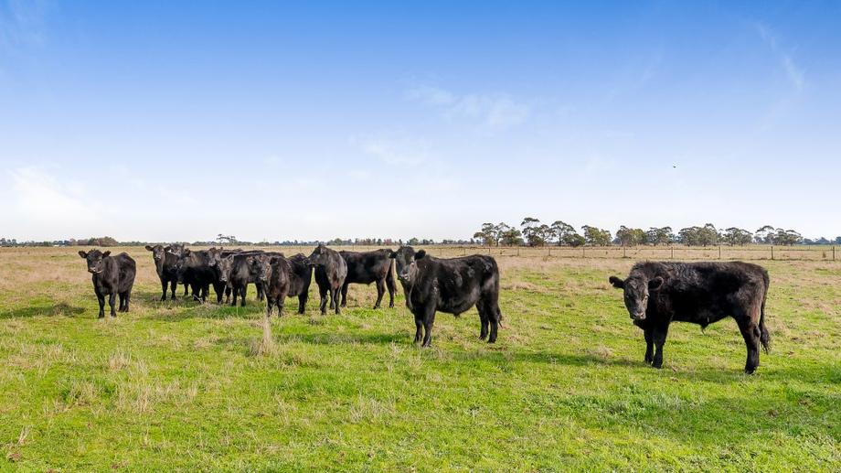 LOT 1 ELEVEN MILE ROAD Tynong VIC 