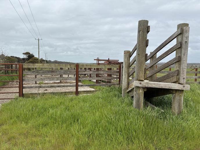 . Harcus River Road Marrawah TAS 7330