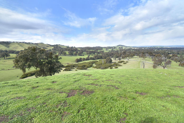 Lot 1 172 Rhymney Road Norval VIC 3377