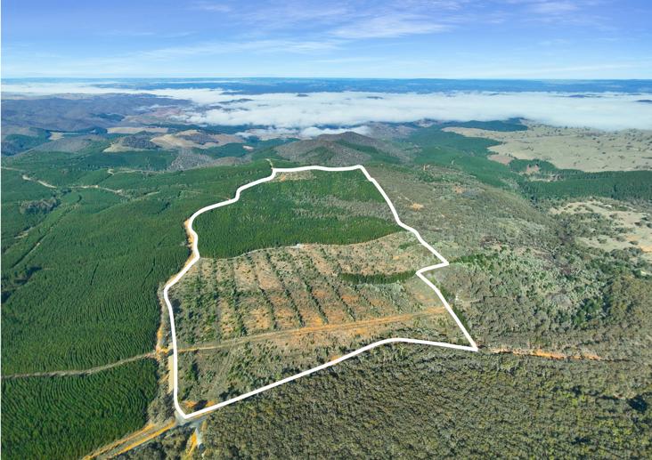 3653 Arkstone Road Burraga NSW 2795