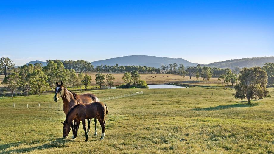 2684 Glendonbrook Road Gresford NSW 2311