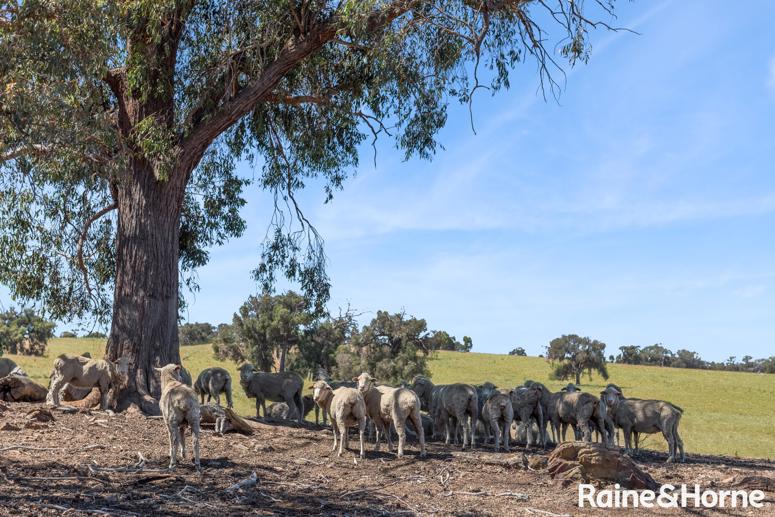 C/A 2A & 2 555 & 565 Dairy Flat Road Heathcote South VIC 3523