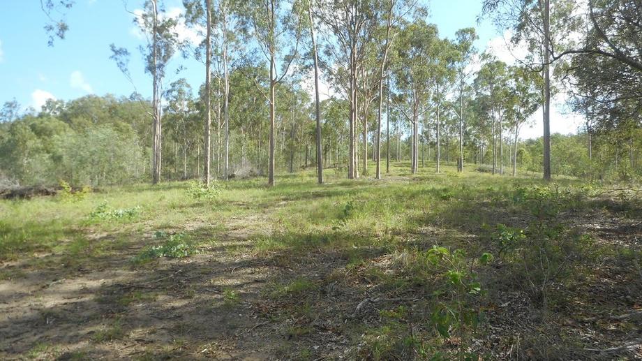 lot 2 moolboolaman Gin Gin QLD 4671