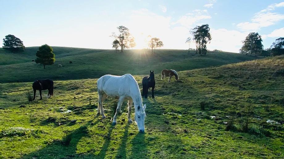 478 Mizpah Settlement Road Buln Buln East VIC 3821