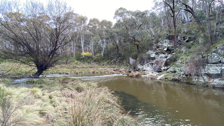 562 Soldiers Hill Road Wisemans Creek NSW 2795