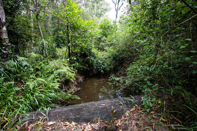 506 Tullymorgan-Jacky Bulbin Road Mororo NSW 2469