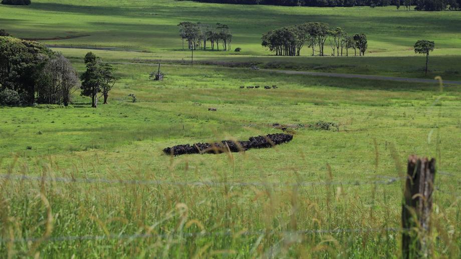 1960 Old Palmerston Hwy Ravenshoe QLD 4888