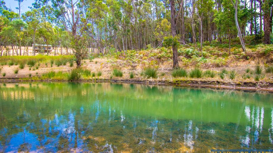 20 Stephens Street Bridgetown WA 6255