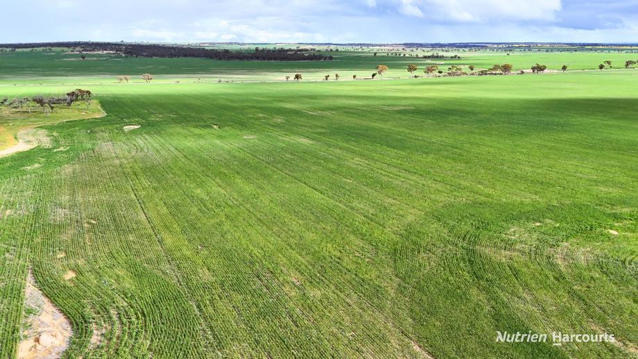 "Southies" Fewster Road Korbel WA 6415