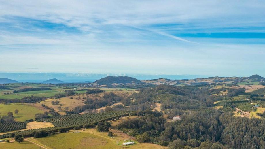 313 Ducks Ridge Road Comboyne NSW 2429