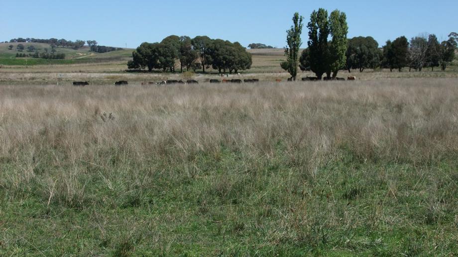 223 Marshalls Lane Blayney NSW 2799