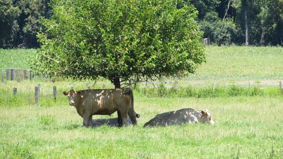 Address available by request