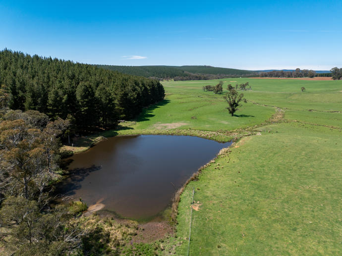 439 Tuglow Forest Road Shooters Hill NSW 2787