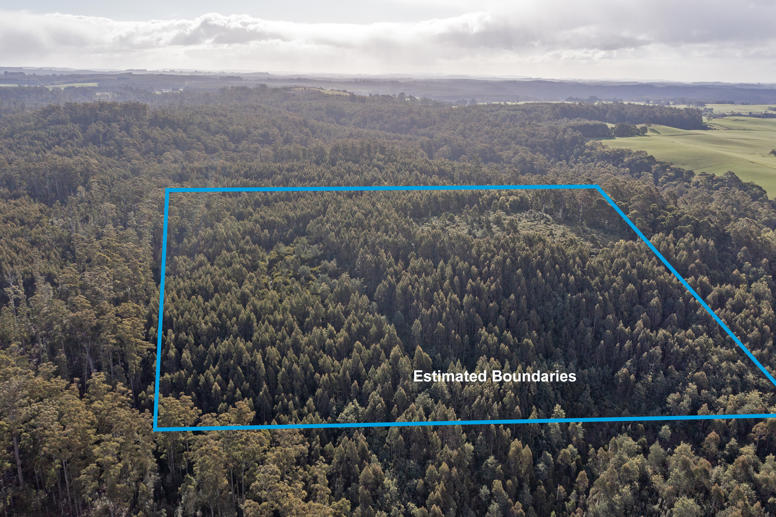 PID 619142 South Riana Road Upper Natone TAS 7321