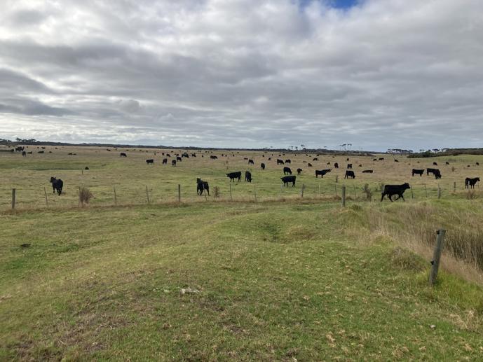 3470 North Road Egg Lagoon TAS 7256