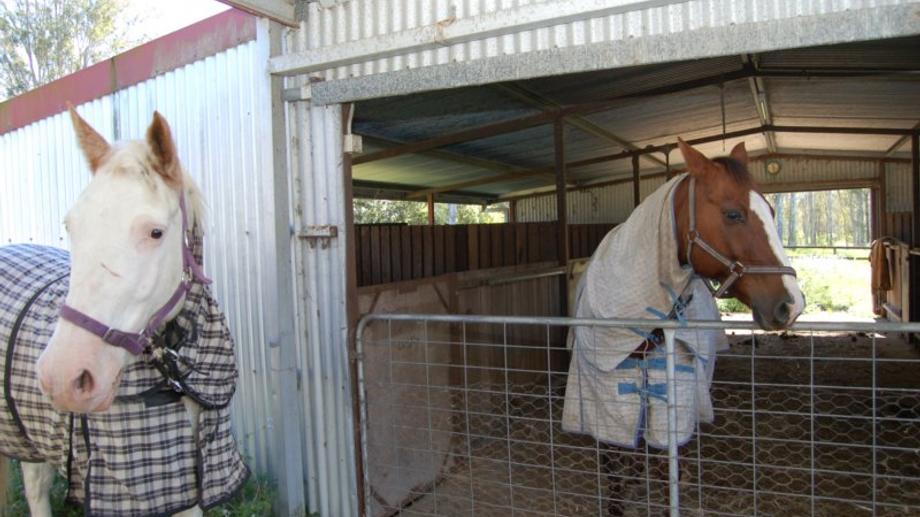 Lot 13 Wearing Road North Maclean QLD 