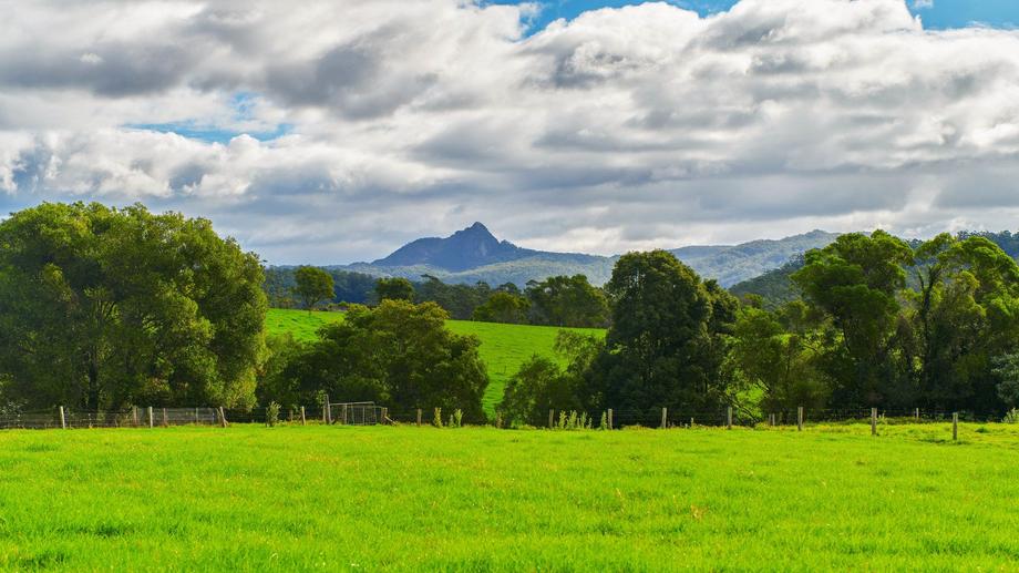 128 Deep Creek Road Hannam Vale NSW 2443