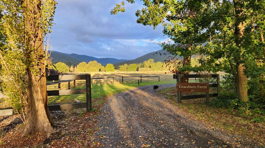 21 Hall Road Healesville VIC 3777