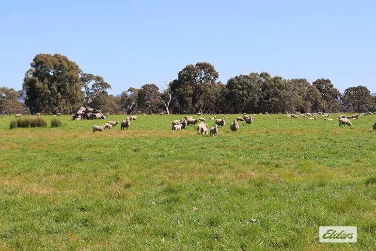 CA 91a 91b Mitchell Street Glenthompson VIC 3293