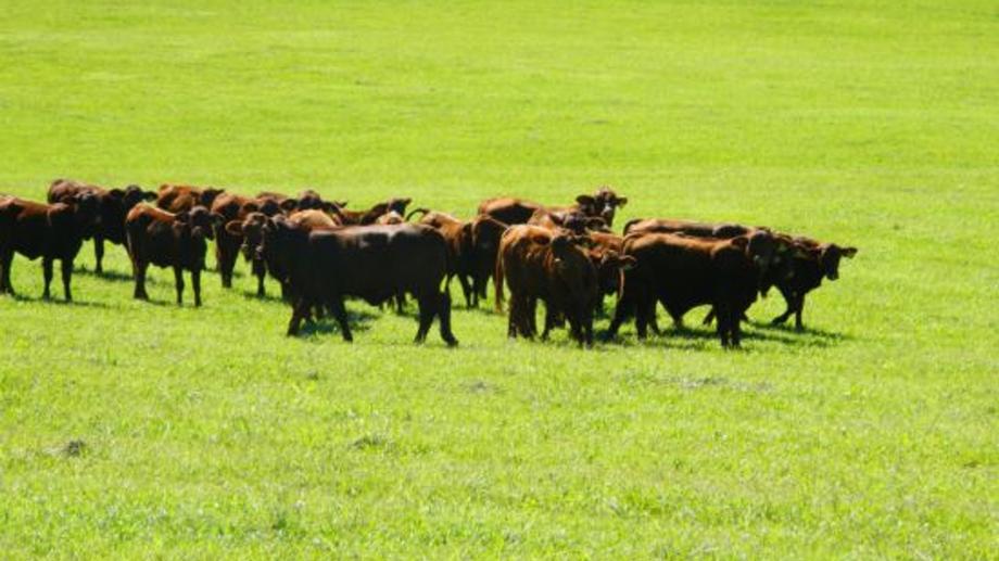 Address available by request