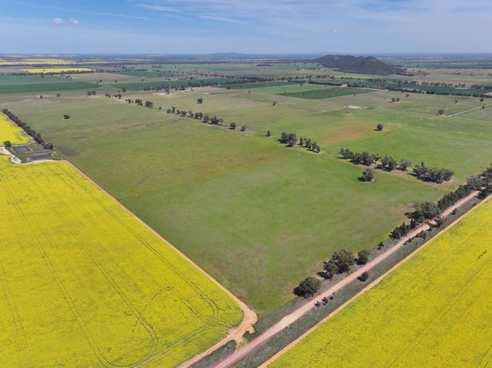 100 Tauntons Road Kikiamah NSW 2594