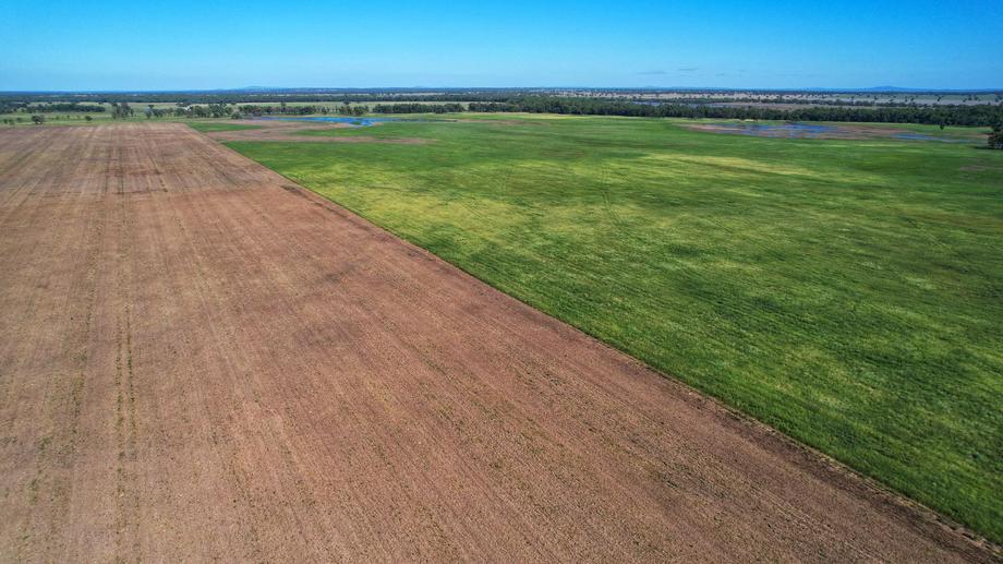 13774 Lachlan Valley Way Condobolin NSW 2877