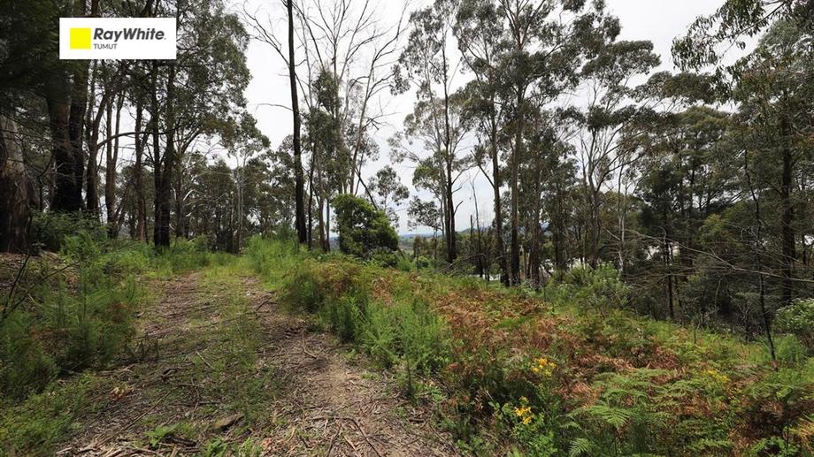 Lot 3 Alta Villa Road Batlow NSW 2730