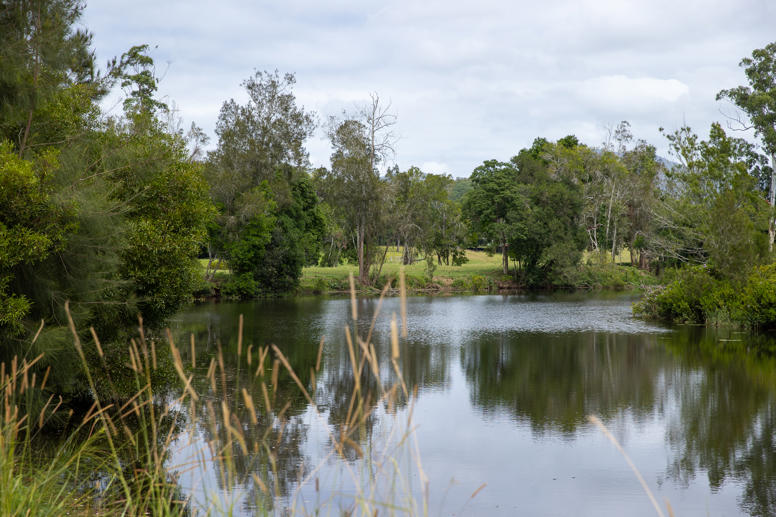 300 Martells Road Bellingen NSW 2454