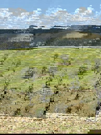 Lot 9 Silver Spur Redgate Road Silver Spur QLD 4385