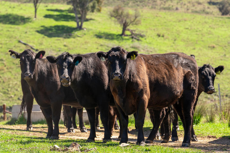 401 & 407 Dry Creek Road Orange NSW 2800