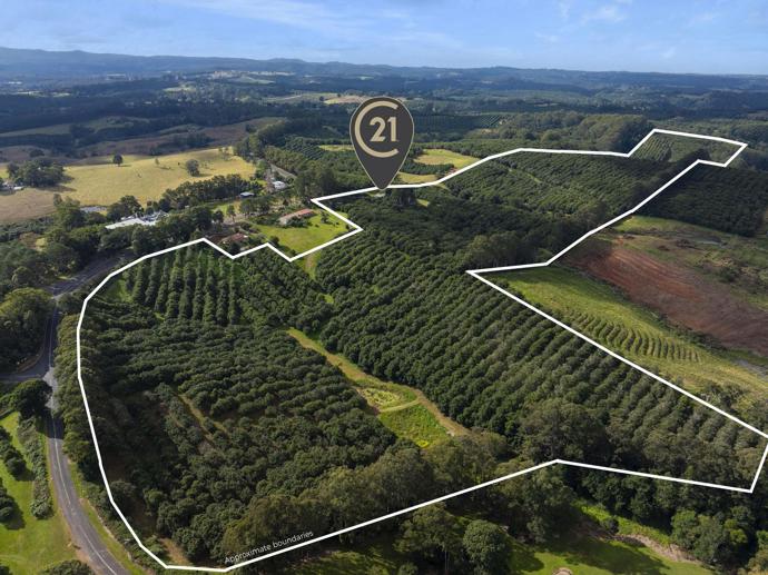 1248 Dunoon Road Dunoon NSW 2480