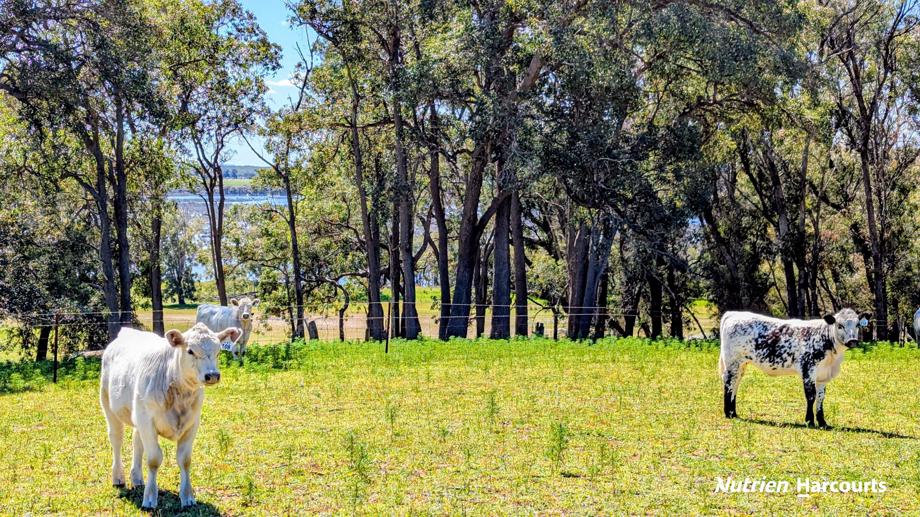 2079 (Lot  Cowalla Road Cowalla WA 6503