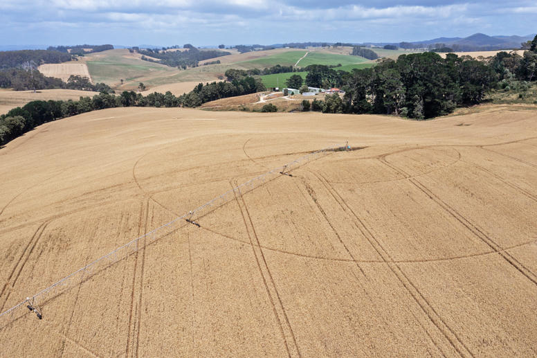 86 Rothwells Road Sisters Creek TAS 7325