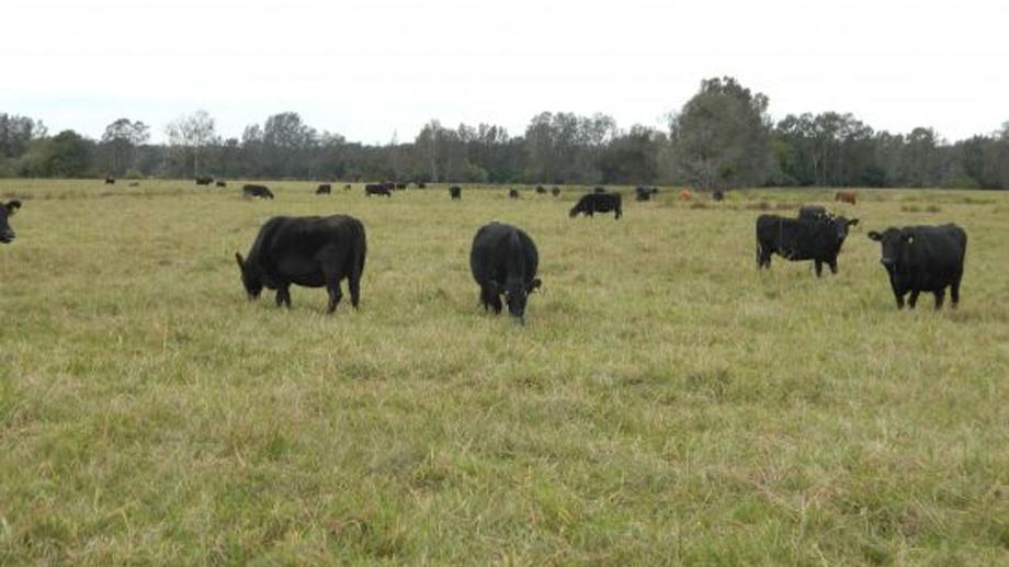 Address available by request